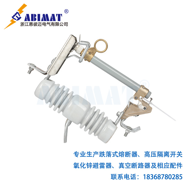 10kV100A跌落式熔断器-恩彼迈