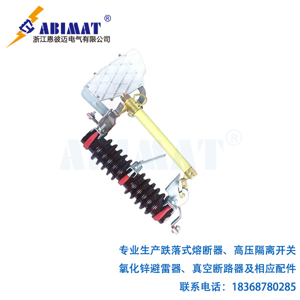 RW11-12F/100 跌落式熔断-恩彼迈